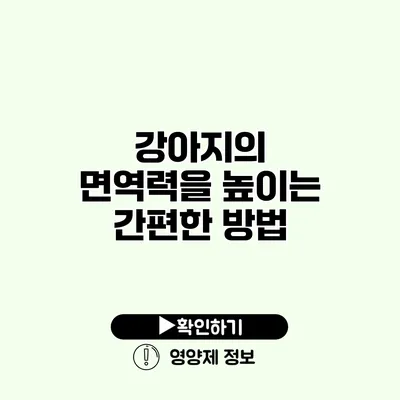 강아지의 면역력을 높이는 간편한 방법