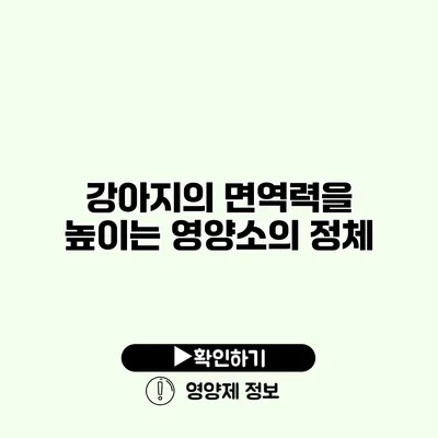 강아지의 면역력을 높이는 영양소의 정체