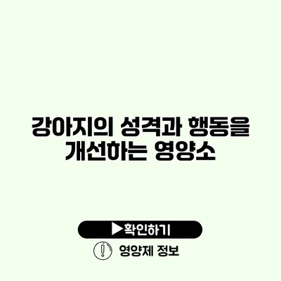 강아지의 성격과 행동을 개선하는 영양소