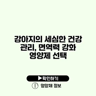 강아지의 세심한 건강 관리, 면역력 강화 영양제 선택