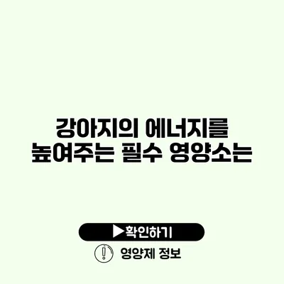 강아지의 에너지를 높여주는 필수 영양소는?