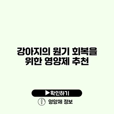 강아지의 원기 회복을 위한 영양제 추천