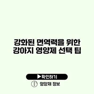 강화된 면역력을 위한 강아지 영양제 선택 팁