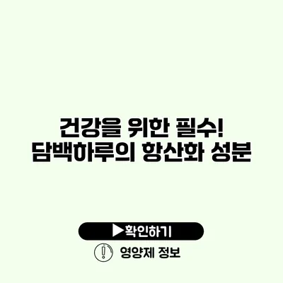 건강을 위한 필수! 담백하루의 항산화 성분