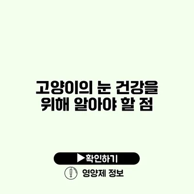 고양이의 눈 건강을 위해 알아야 할 점