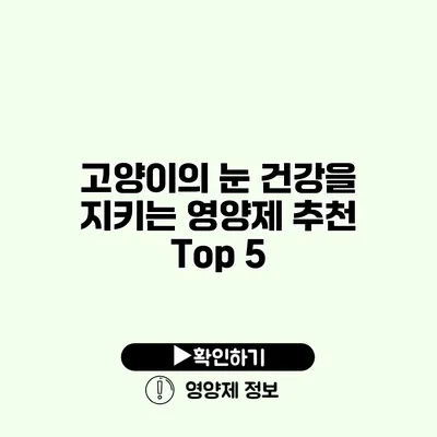 고양이의 눈 건강을 지키는 영양제 추천 Top 5