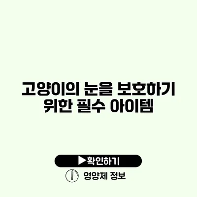 고양이의 눈을 보호하기 위한 필수 아이템