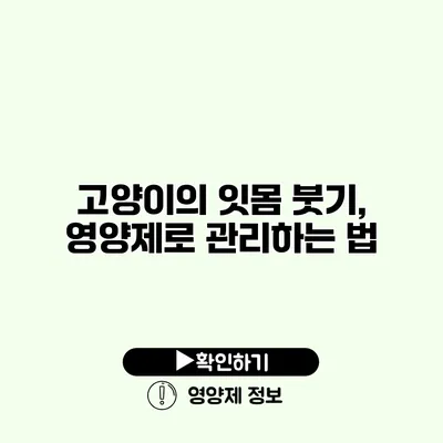 고양이의 잇몸 붓기, 영양제로 관리하는 법