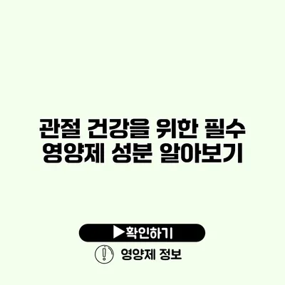 관절 건강을 위한 필수 영양제 성분 알아보기