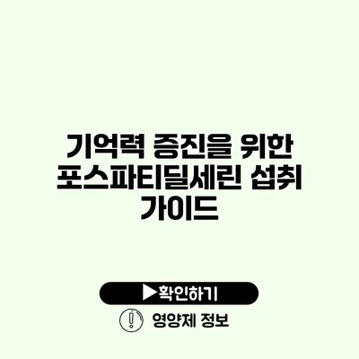 기억력 증진을 위한 포스파티딜세린 섭취 가이드