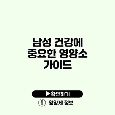 남성 건강에 중요한 영양소 가이드