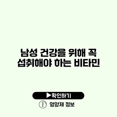 남성 건강을 위해 꼭 섭취해야 하는 비타민