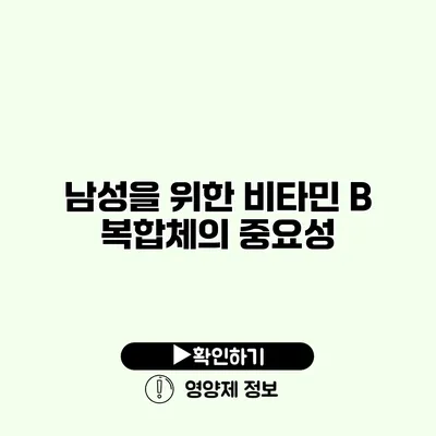 남성을 위한 비타민 B 복합체의 중요성