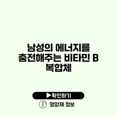 남성의 에너지를 충전해주는 비타민 B 복합체