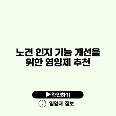 노견 인지 기능 개선을 위한 영양제 추천