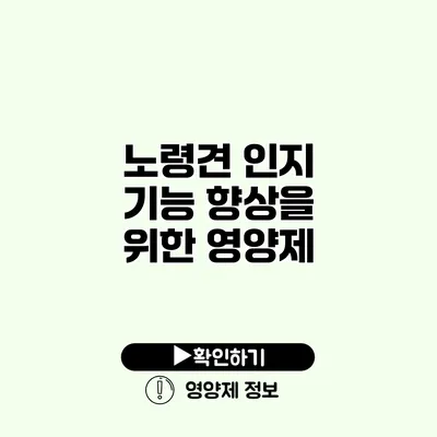 노령견 인지 기능 향상을 위한 영양제