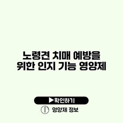 노령견 치매 예방을 위한 인지 기능 영양제