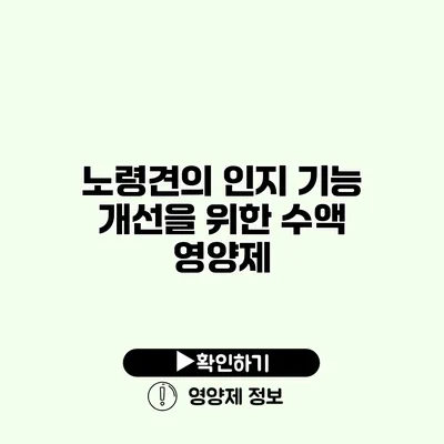 노령견의 인지 기능 개선을 위한 수액 영양제