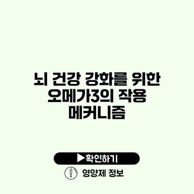 뇌 건강 강화를 위한 오메가3의 작용 메커니즘