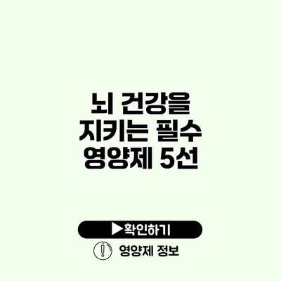 뇌 건강을 지키는 필수 영양제 5선