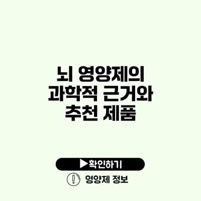 뇌 영양제의 과학적 근거와 추천 제품