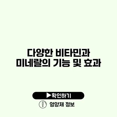 다양한 비타민과 미네랄의 기능 및 효과