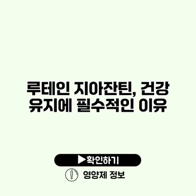 루테인 지아잔틴, 건강 유지에 필수적인 이유