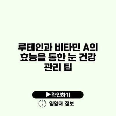 루테인과 비타민 A의 효능을 통한 눈 건강 관리 팁