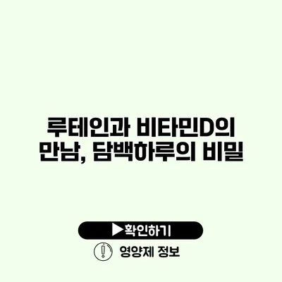 루테인과 비타민D의 만남, 담백하루의 비밀