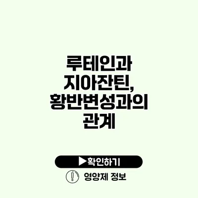 루테인과 지아잔틴, 황반변성과의 관계