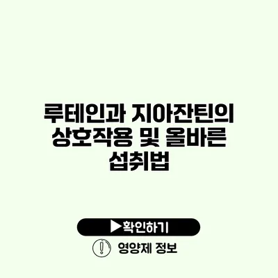 루테인과 지아잔틴의 상호작용 및 올바른 섭취법