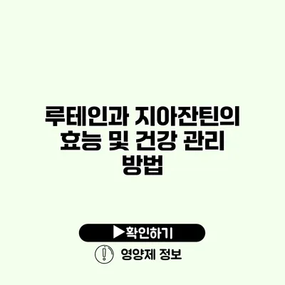 루테인과 지아잔틴의 효능 및 건강 관리 방법