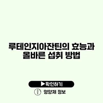 루테인지아잔틴의 효능과 올바른 섭취 방법