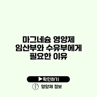 마그네슘 영양제 임산부와 수유부에게 필요한 이유