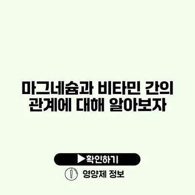 마그네슘과 비타민 간의 관계에 대해 알아보자