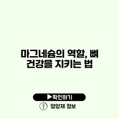 마그네슘의 역할, 뼈 건강을 지키는 법