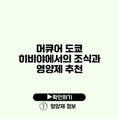 머큐어 도쿄 히비야에서의 조식과 영양제 추천