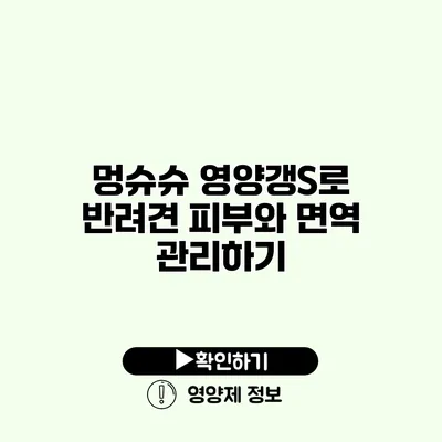 멍슈슈 영양갱S로 반려견 피부와 면역 관리하기