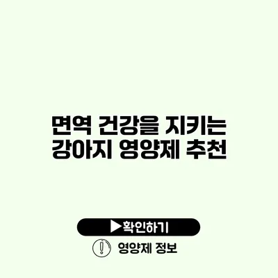 면역 건강을 지키는 강아지 영양제 추천