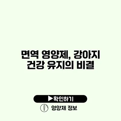 면역 영양제, 강아지 건강 유지의 비결