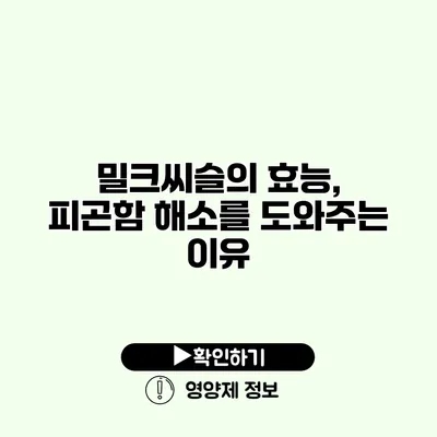 밀크씨슬의 효능, 피곤함 해소를 도와주는 이유