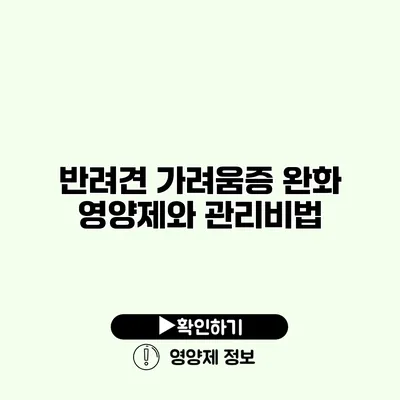 반려견 가려움증 완화 영양제와 관리비법