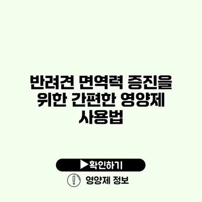 반려견 면역력 증진을 위한 간편한 영양제 사용법