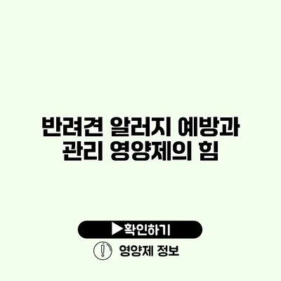 반려견 알러지 예방과 관리 영양제의 힘