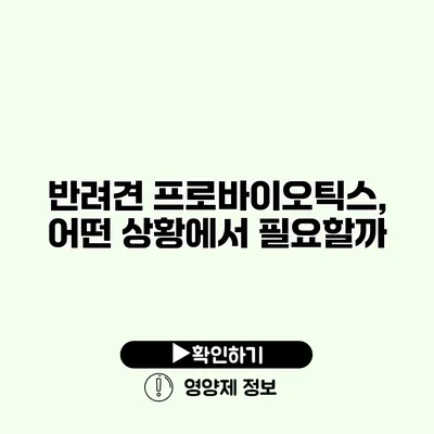 반려견 프로바이오틱스, 어떤 상황에서 필요할까?