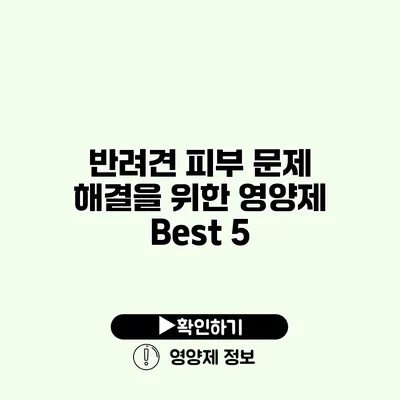 반려견 피부 문제 해결을 위한 영양제 Best 5