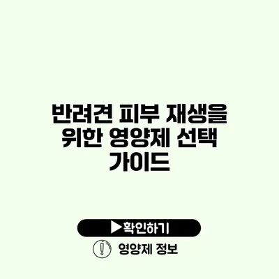 반려견 피부 재생을 위한 영양제 선택 가이드