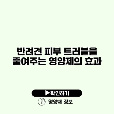 반려견 피부 트러블을 줄여주는 영양제의 효과