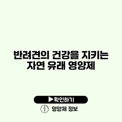 반려견의 건강을 지키는 자연 유래 영양제