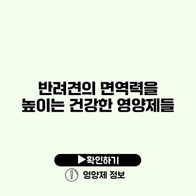 반려견의 면역력을 높이는 건강한 영양제들